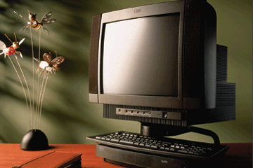IBM'S STEALTH COMPUTER