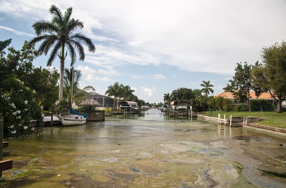 Toxic Slime Is Ruining Florida’s Gulf Coast