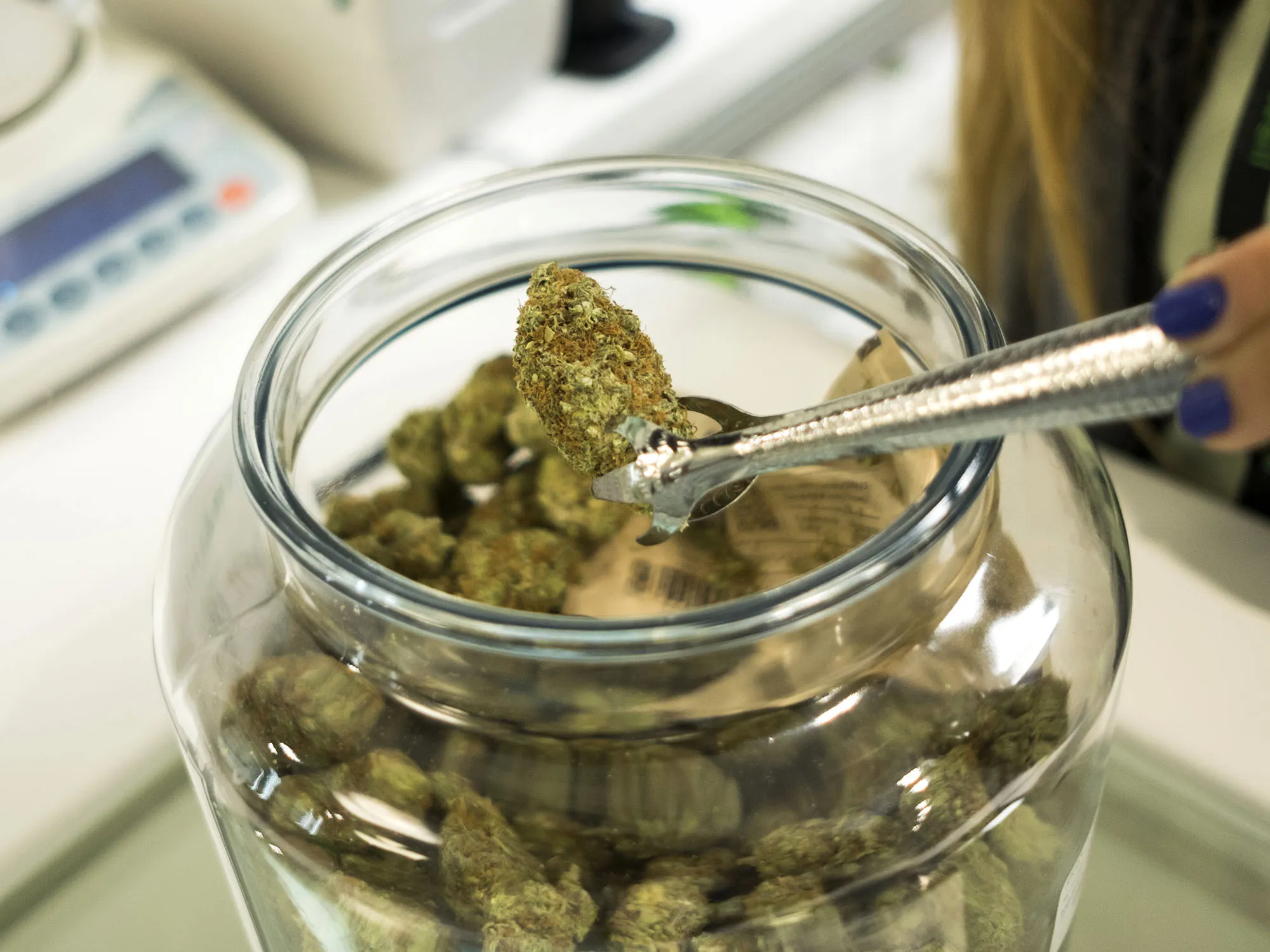 marijuana