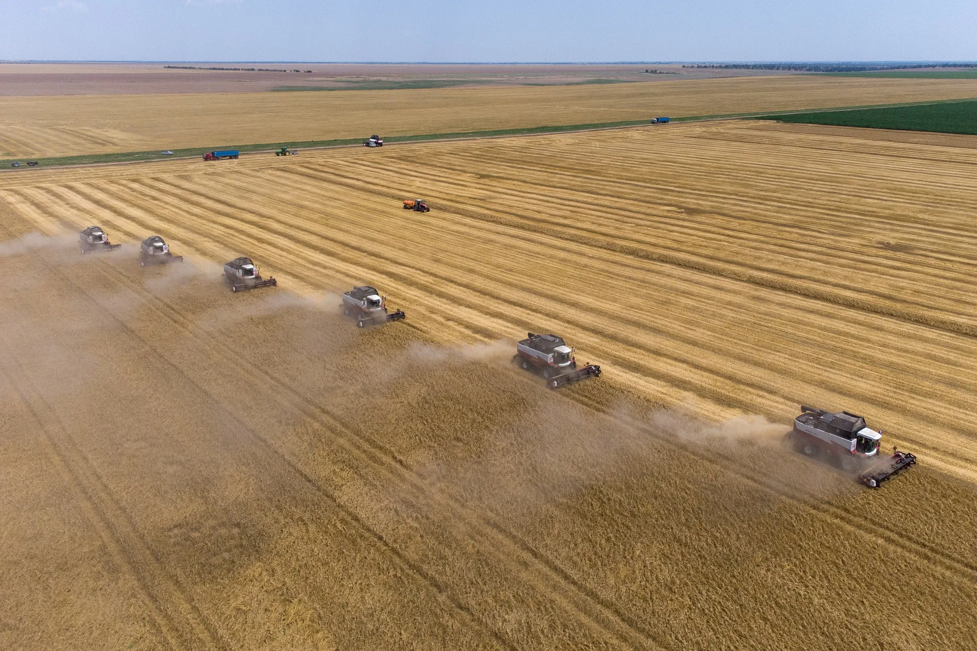 Russian wheat exports continue — at higher prices — as sanctions on Russian agriculture aren't even being discussed because the world needs its grain. 