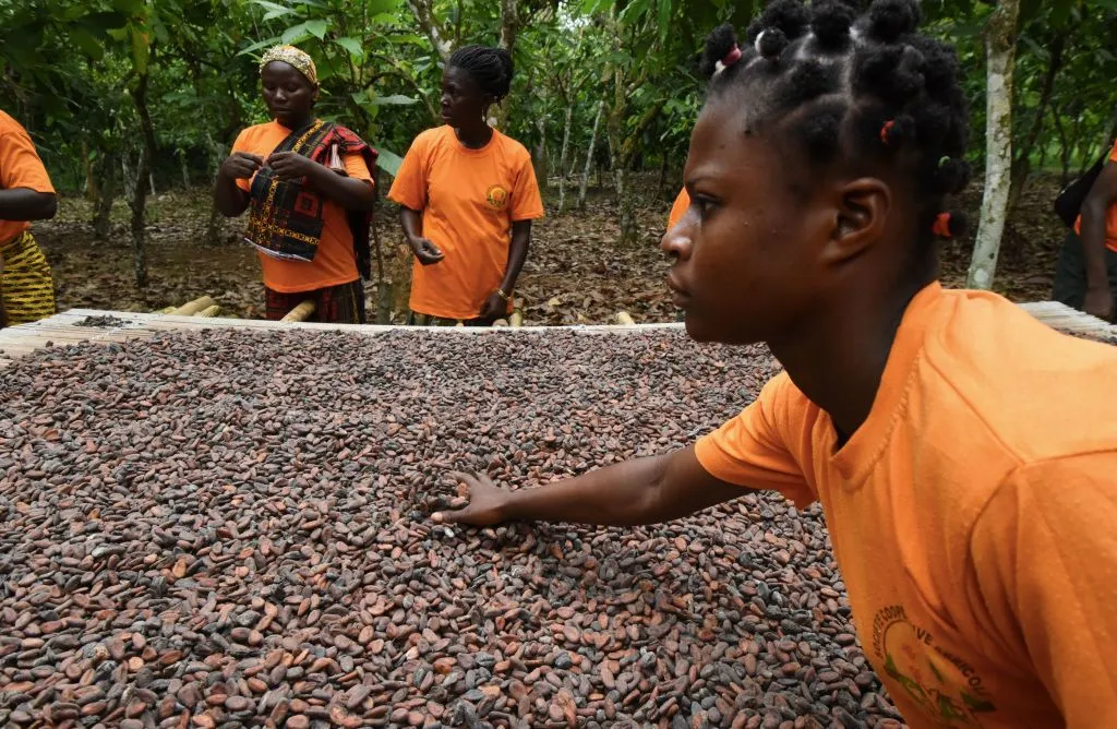 An agricultural cocoa cooperative&nbsp;in Ivory Coast.