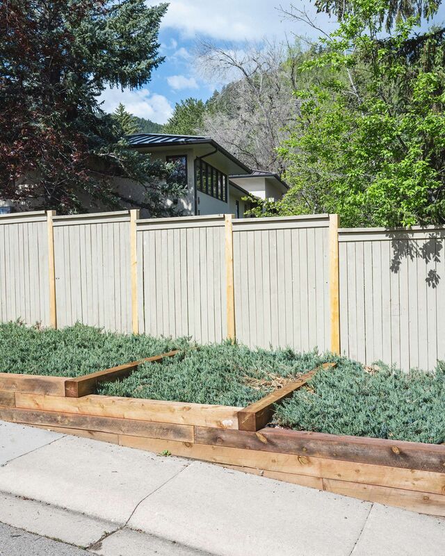 Young juniper trees flank the fence of a Boulder home.