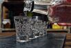 Vodka shots