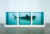 Damien Hirst: Jumping the Shark