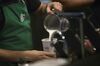 A barista pours frothed milk into a drink inside a Starbucks coffee shop in New York.