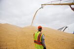 A worker monitors corn as it is loaded into an outdoor storage bunker at the Michlig Grain LLC elevator in Sheffield, Illinois, U.S., on Tuesday, Oct. 2, 2018.