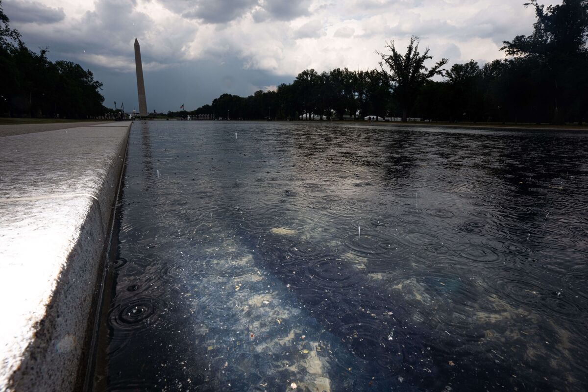 Six Arrested for Alleged Reflecting Pool Damage, Trump Says