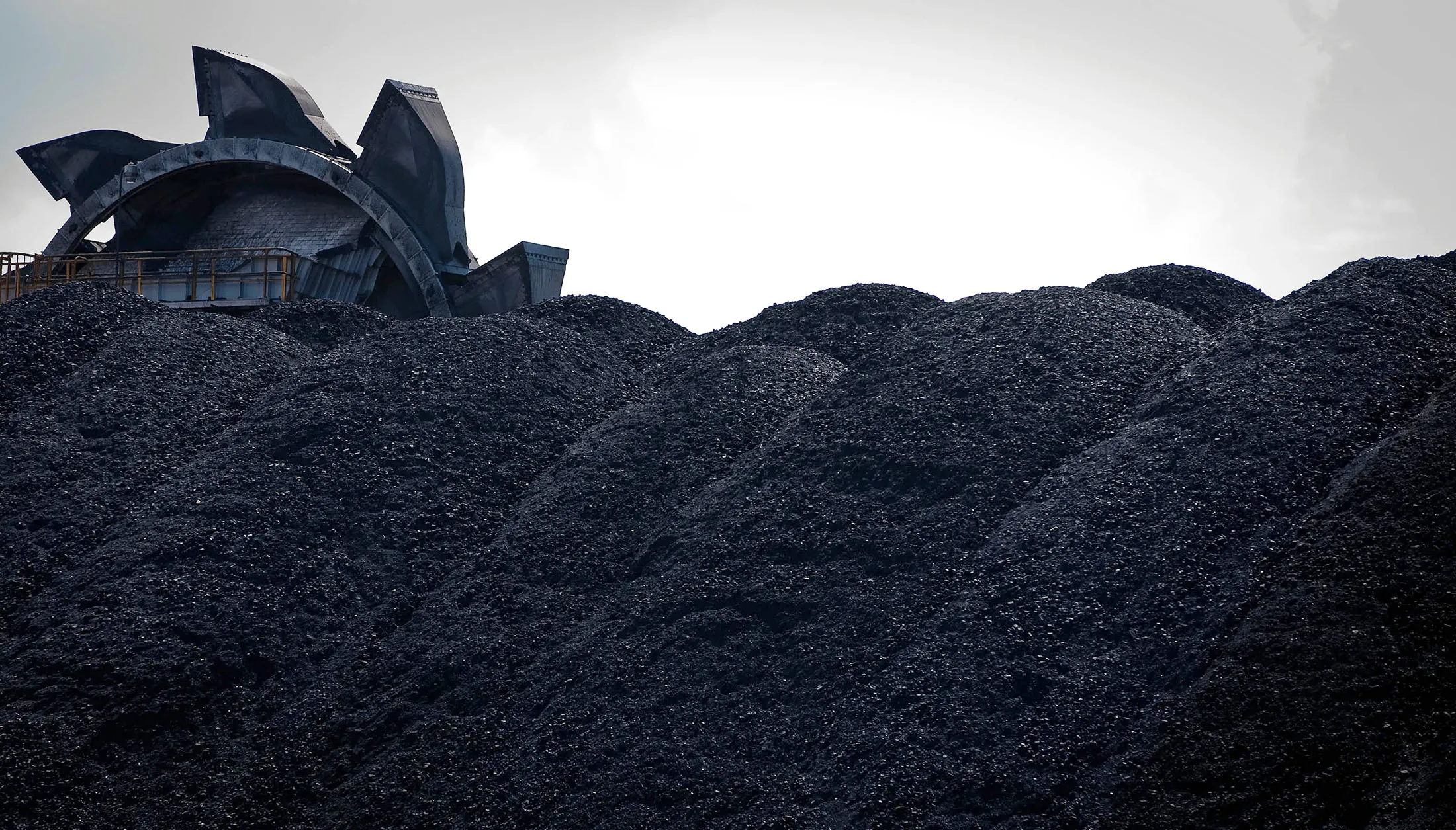 Coal
