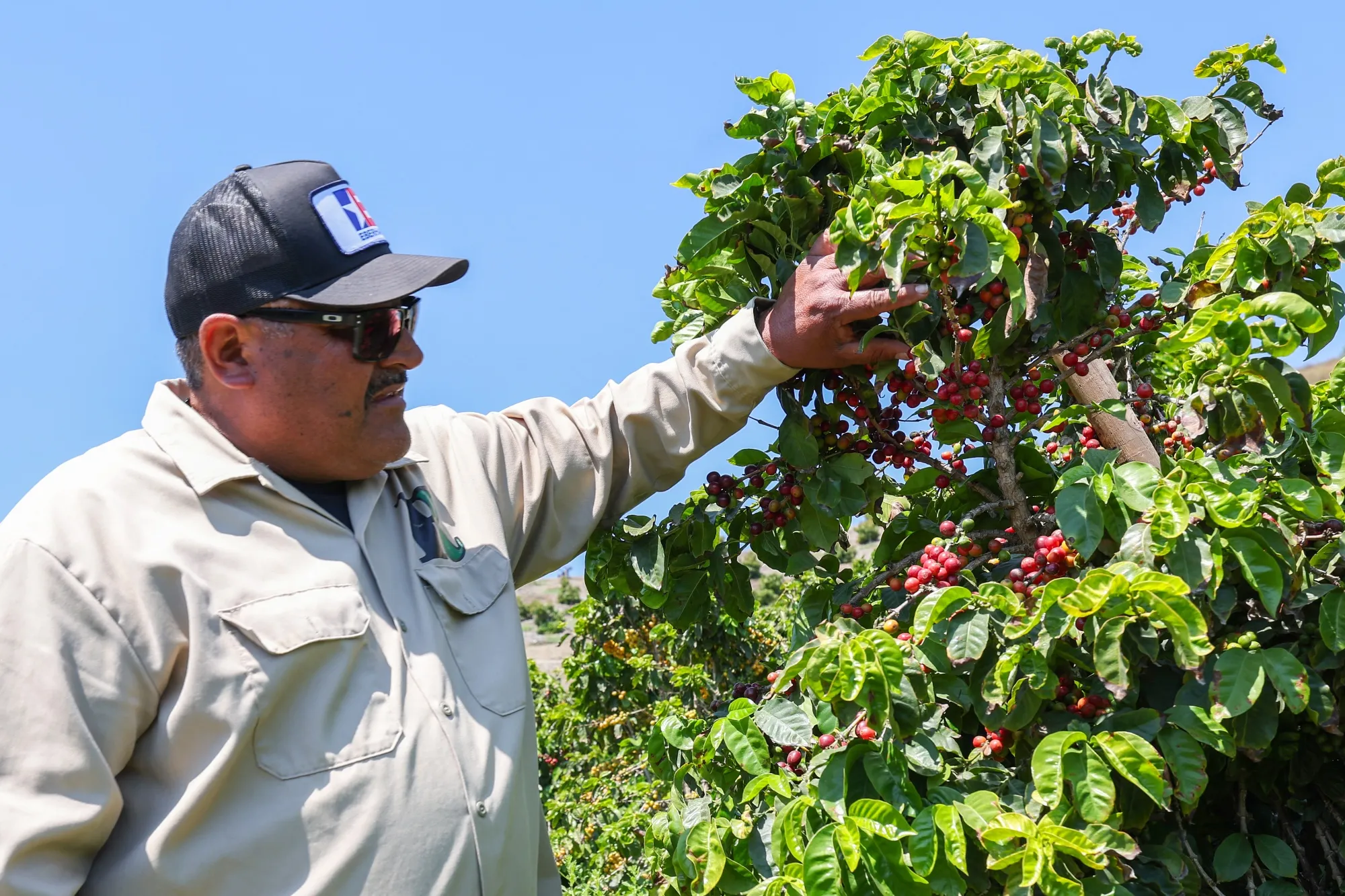Growing more than crops.