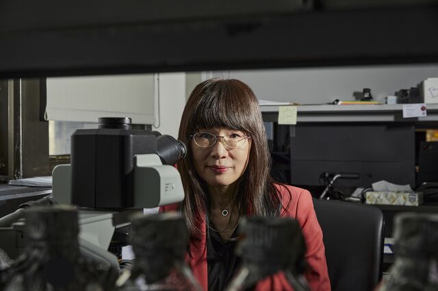 Yousin Suh in her lab at Columbia.