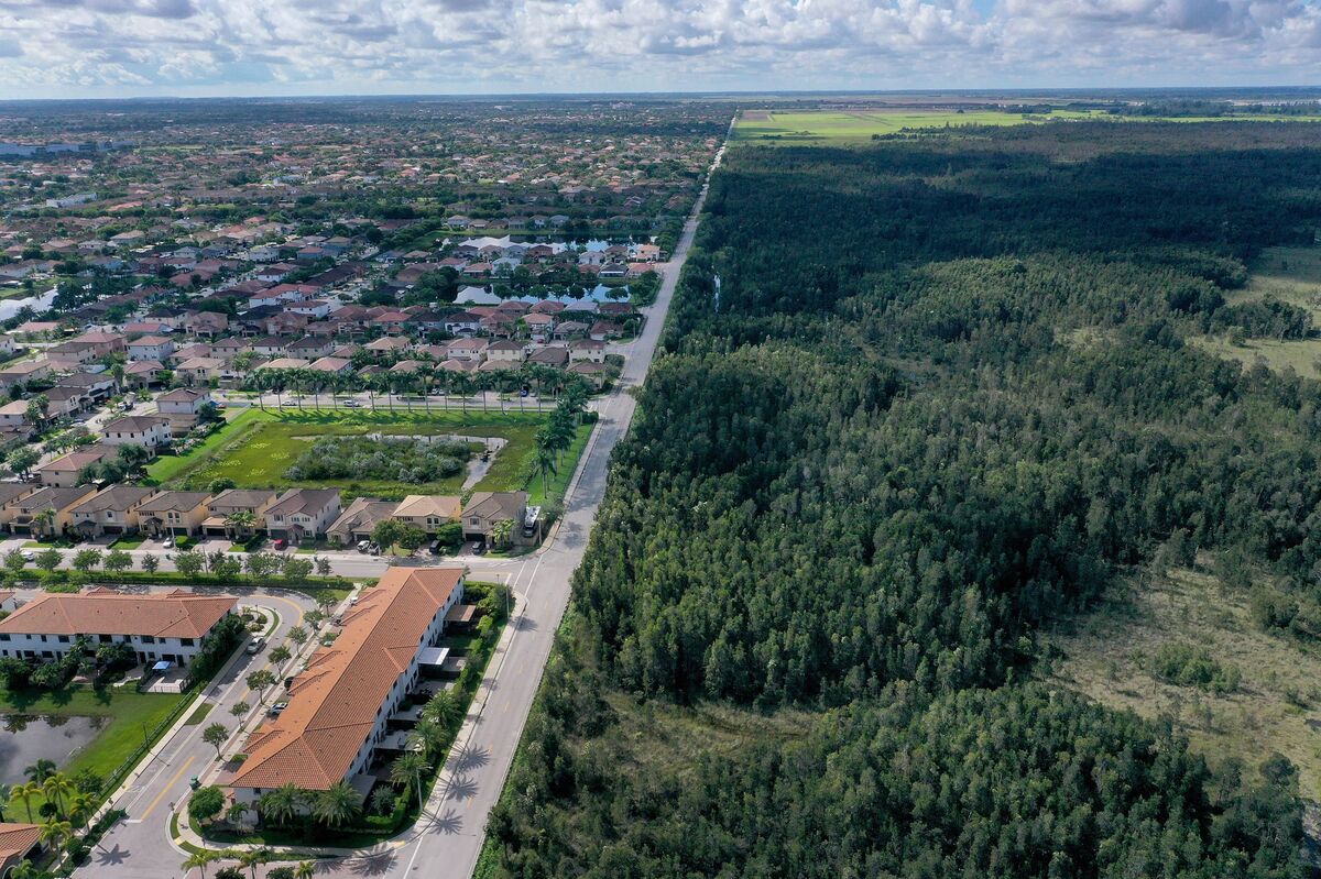 Florida Bill Would Open Door to Building More Housing in the Everglades