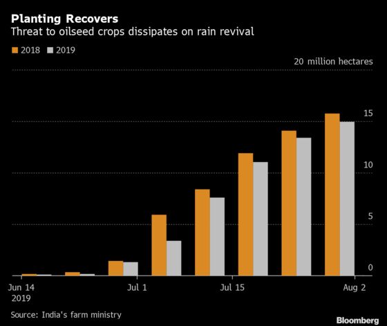 Rain Saves India’s Soybean, Peanut Crops From Disaster