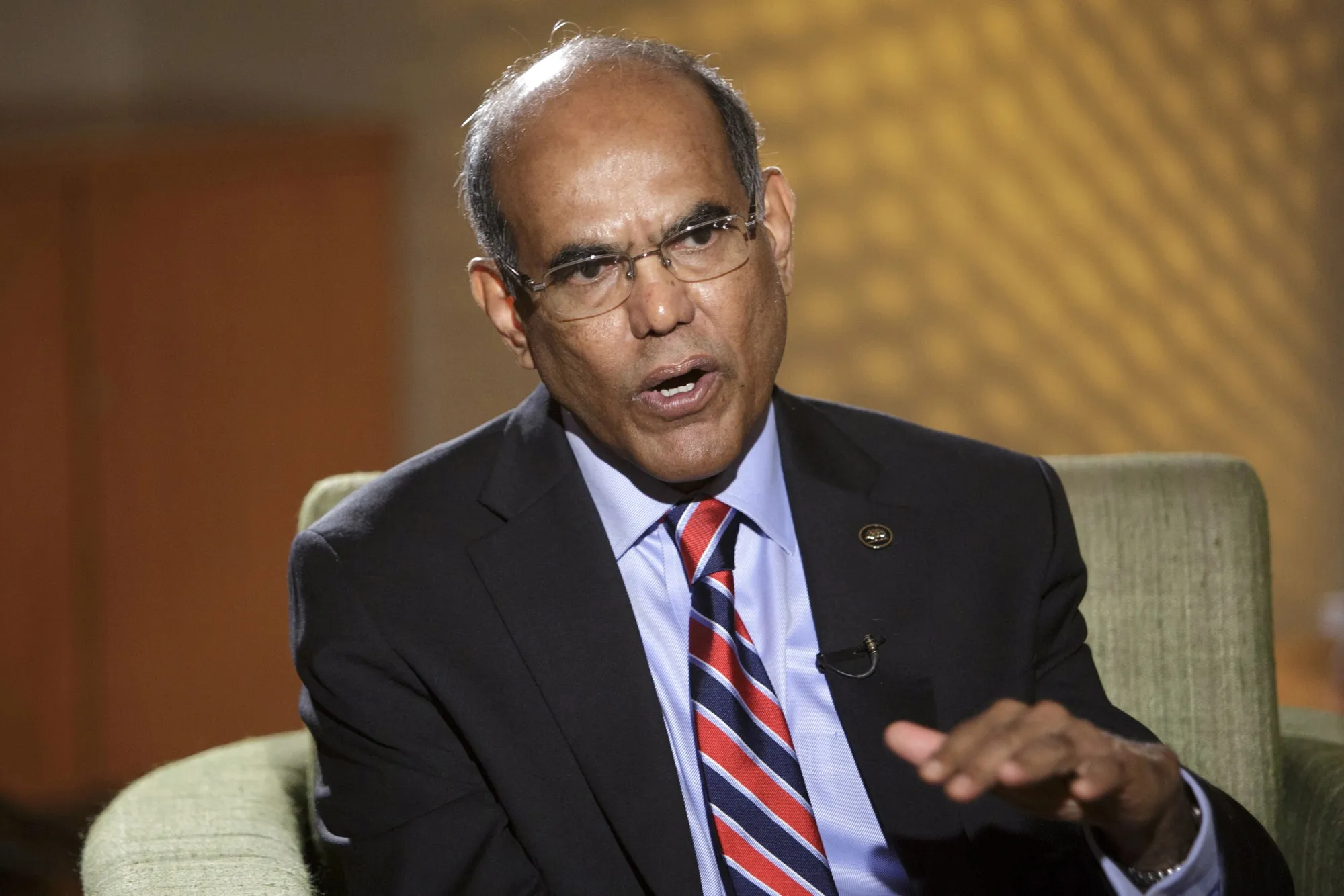 Duvvuri Subbarao in 2013.