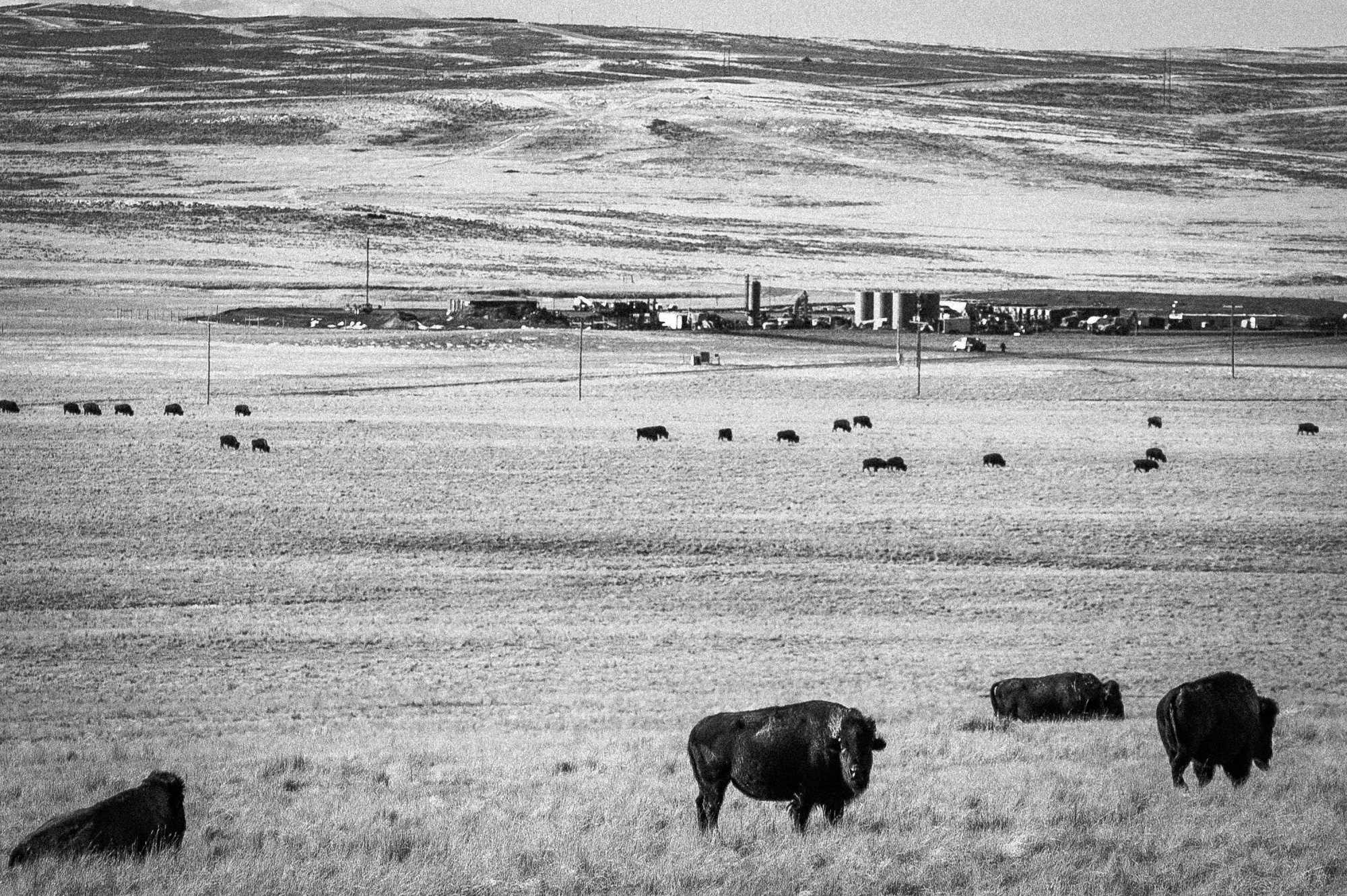 The Powder River Basin.