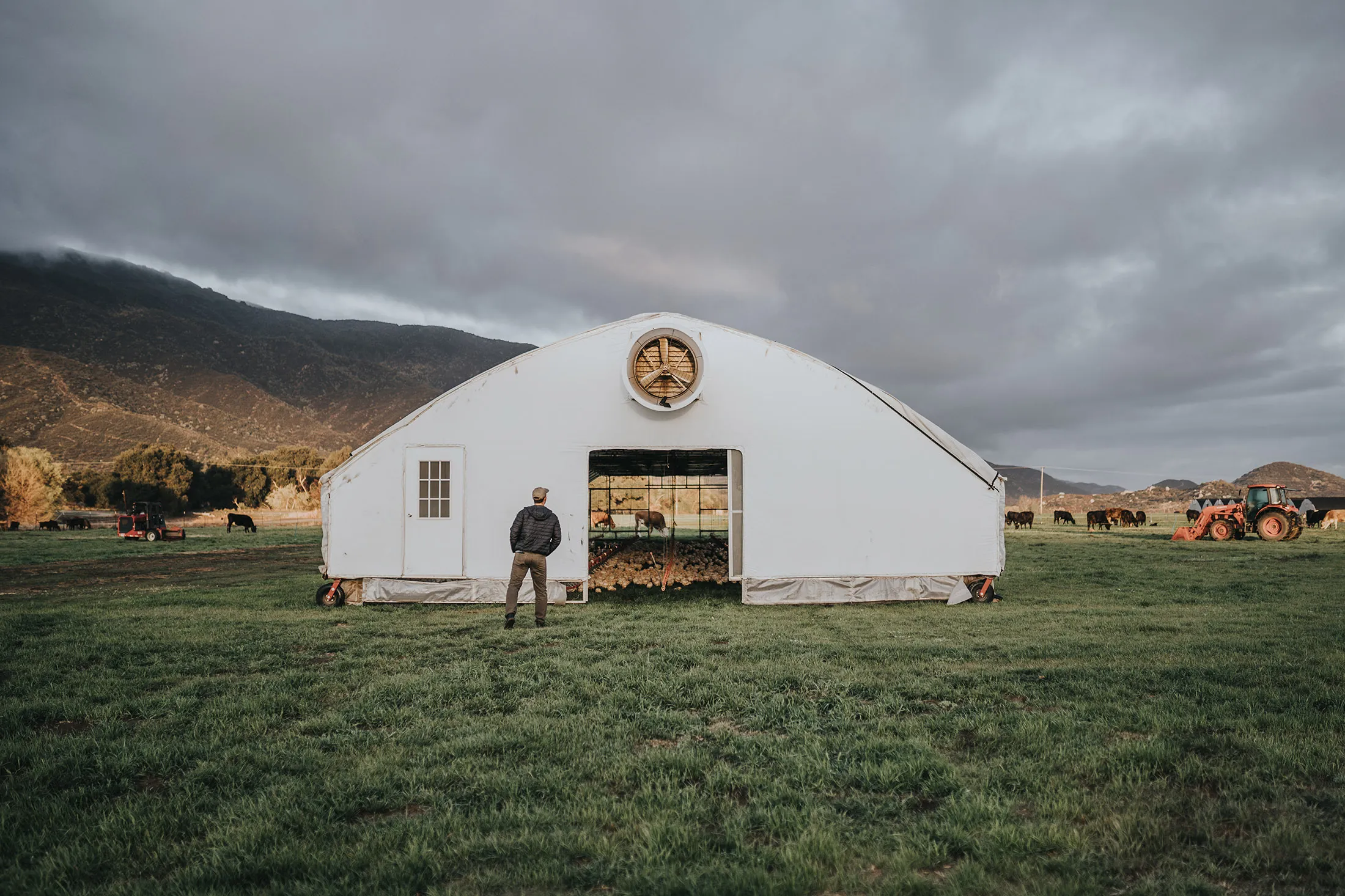 Perdue’s mobile solar-powered chicken coops.
