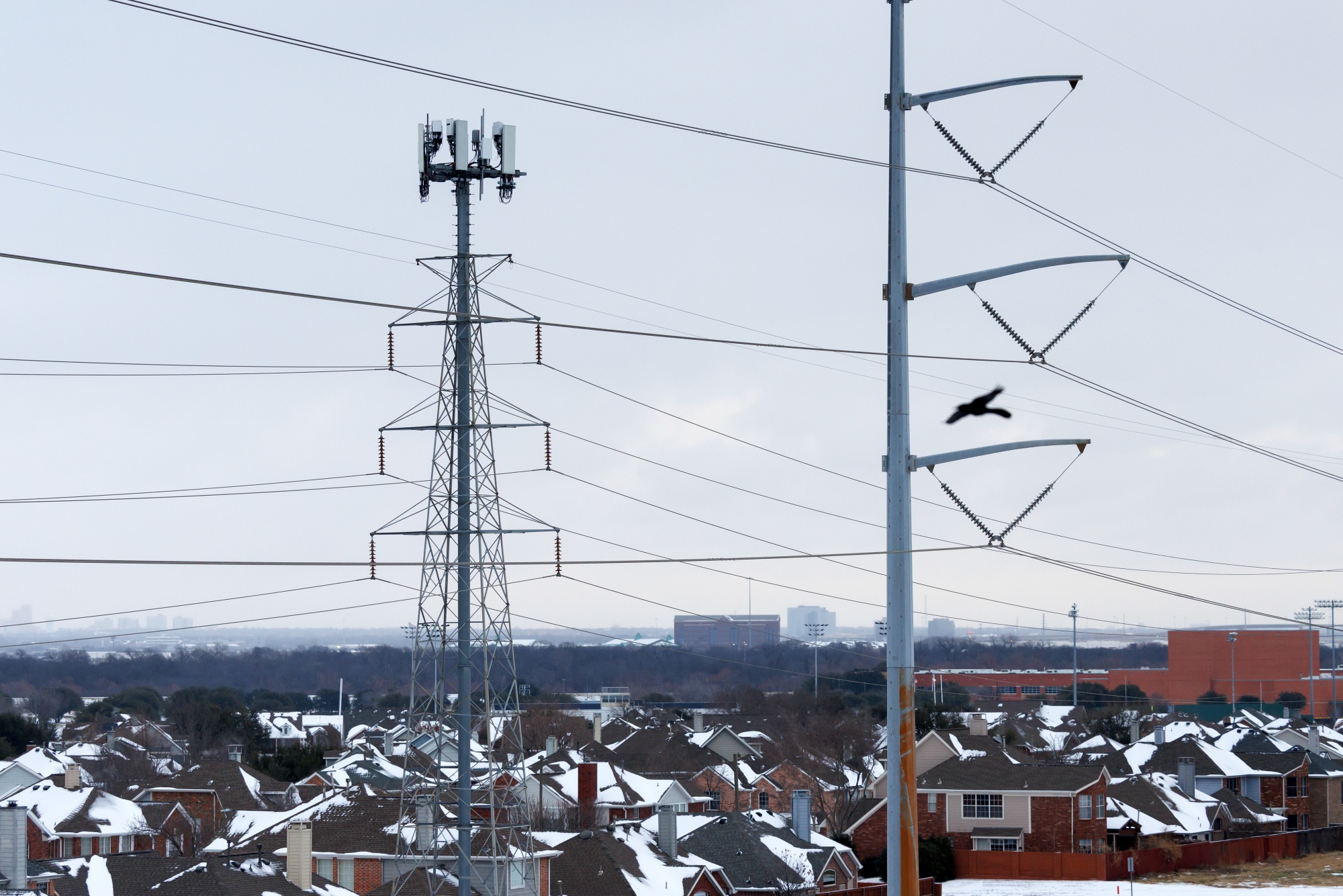 Power lines during a winter storm in Irving, Texas, US, on Sunday, Jan. 25, 2026. US power grids are expected to grapple with unprecedented seasonal demand and the threat of blackouts after a damaging winter storm coated parts of the South and Mid-Atlantic in ice - leaving brutal cold in its wake.