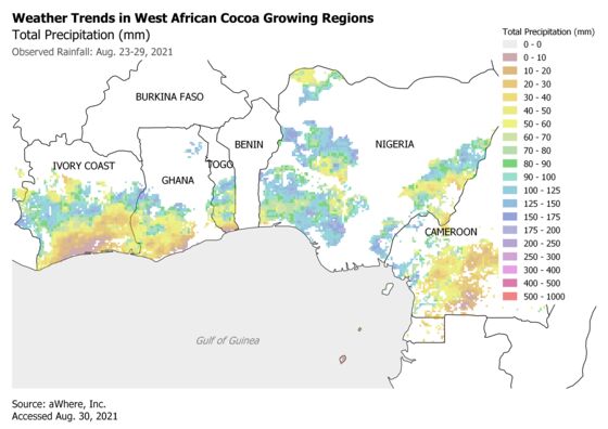 Farmers Expect Good Start to Africa’s Main Cocoa Crop Season