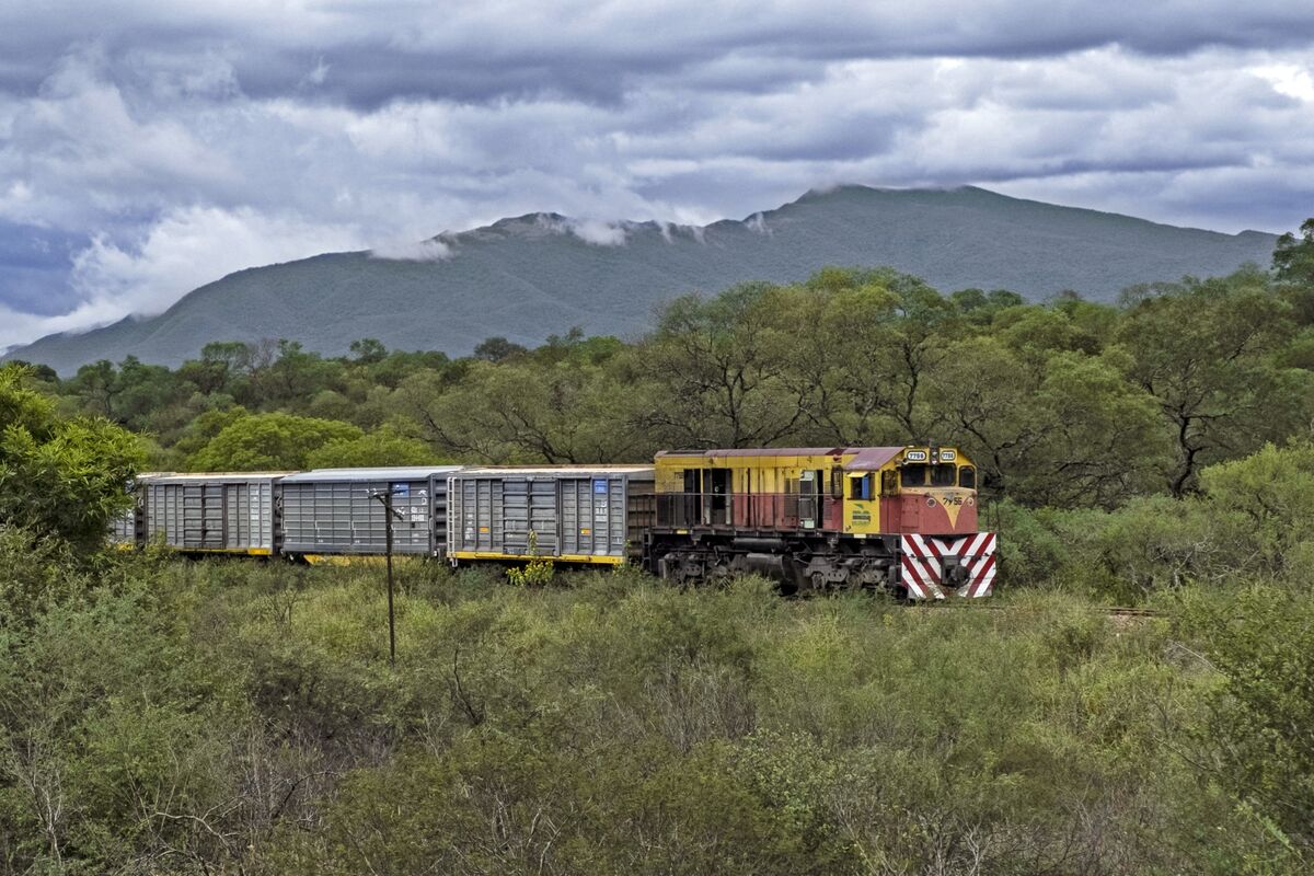 bloomberg.com - Manuela Tobias - Grupo Mexico, Major Crop Traders Eye Milei Rail Privatization in Argentina