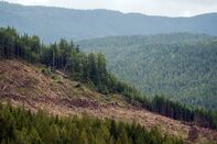 Law Enforcement Removes Fairy Creek Logging Blockades