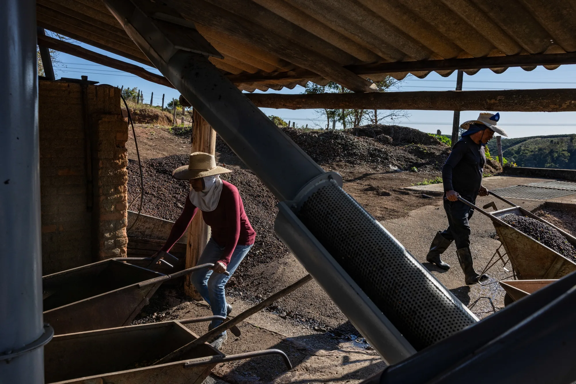 Workers wash and dry coffee cherries following a harvest in Jacutinga, Brazil.