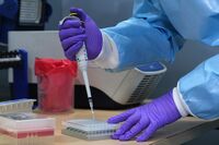 Covid Variant From India Triggers WHO Concern Over Fast Spread