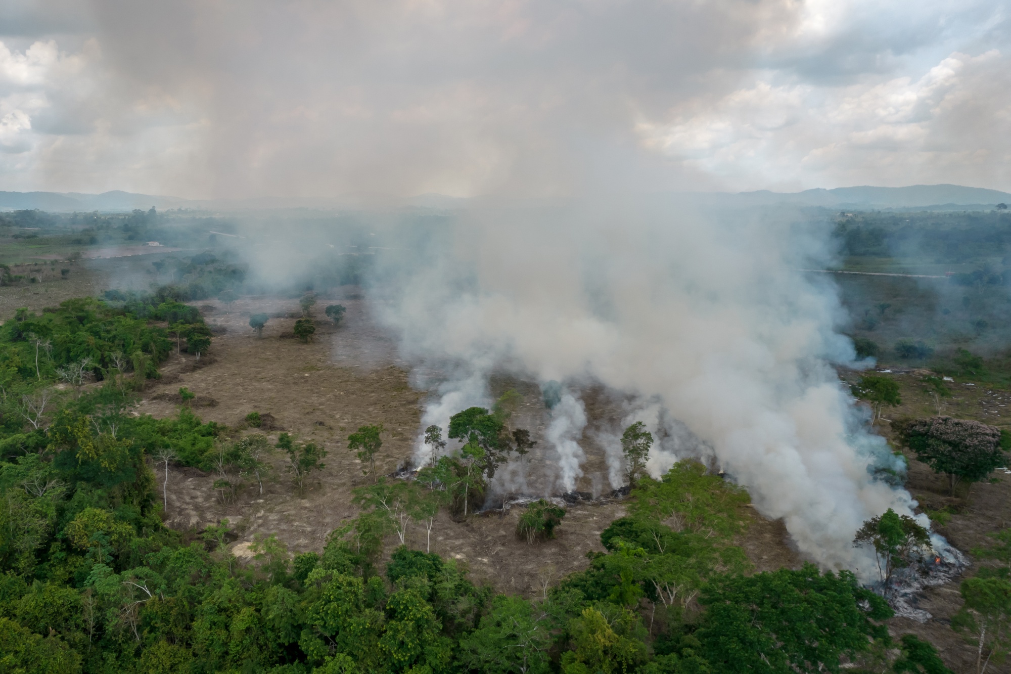 Rainforest Is Being Destroyed at Fastest Pace in 15 Years
