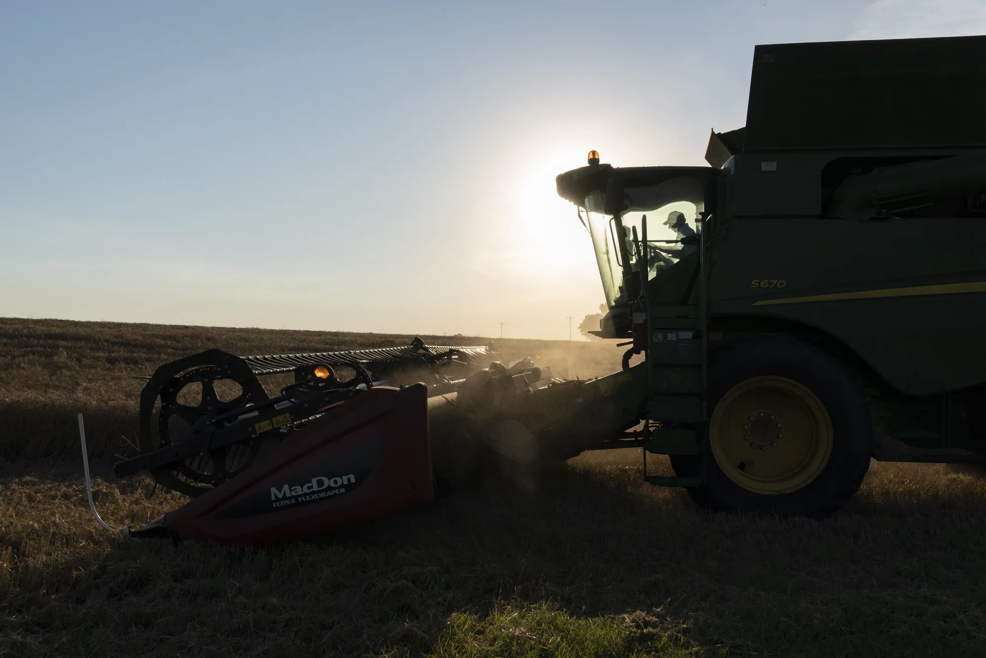 A farmer operates a combine harvester at dusk during a winter wheat harvest.