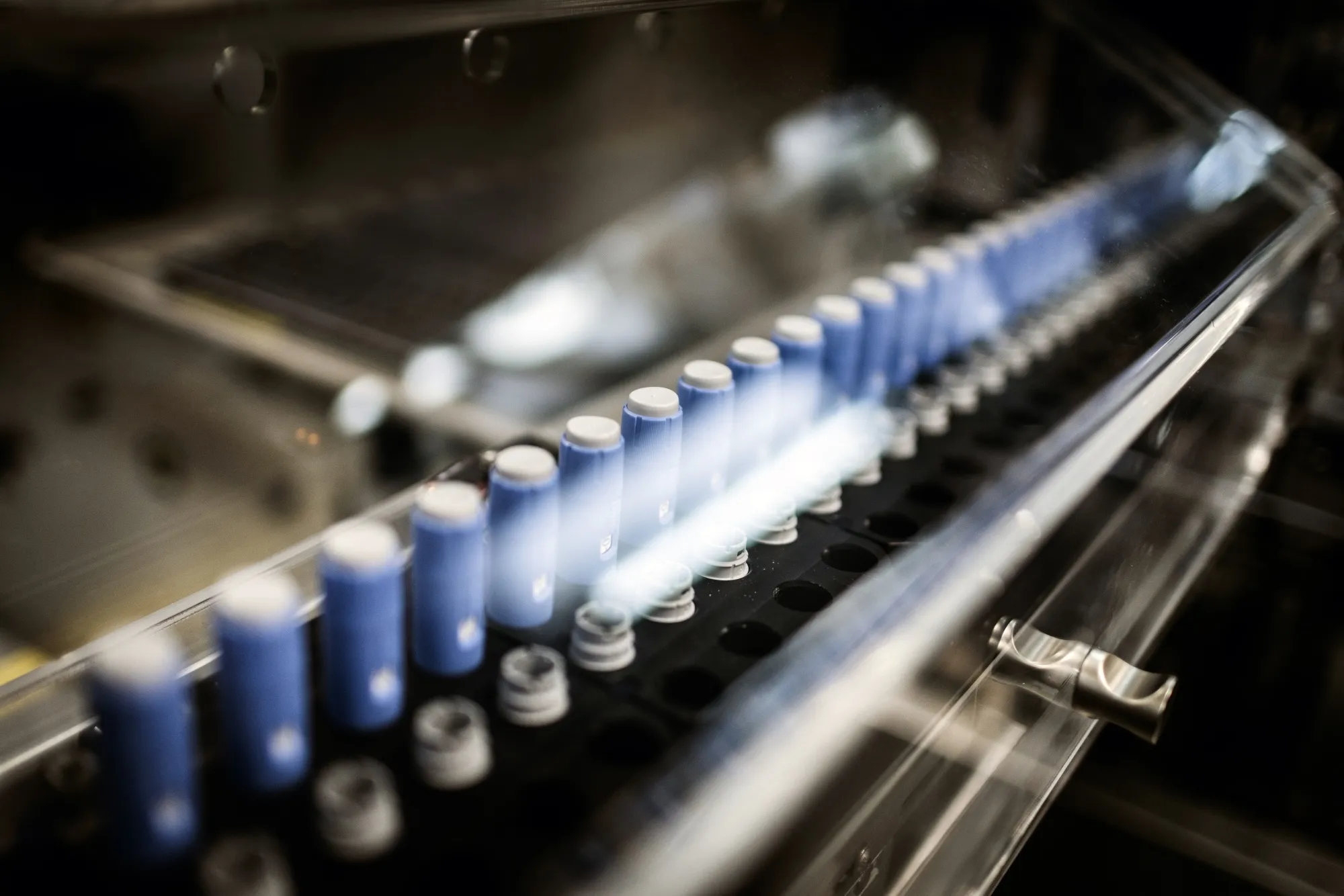 Novo Nordisk became Europe’s&nbsp;most-valuable&nbsp;listed company this year.