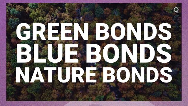 Video player cover image