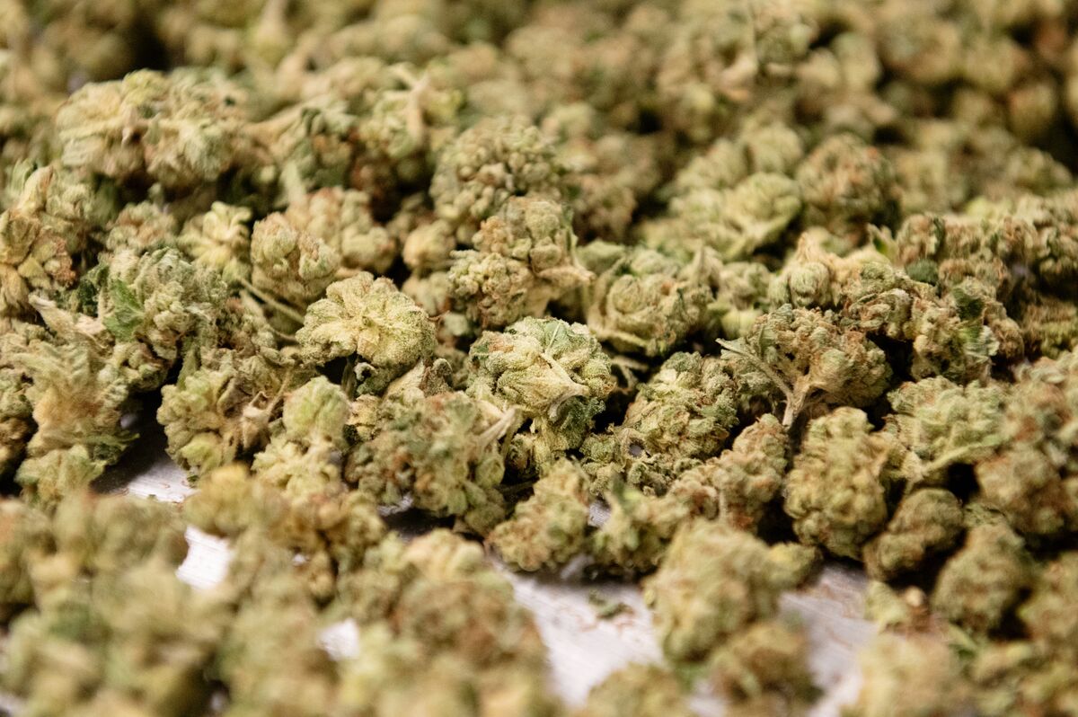 Marlboro Maker Gets Into Canadian Pot Industry