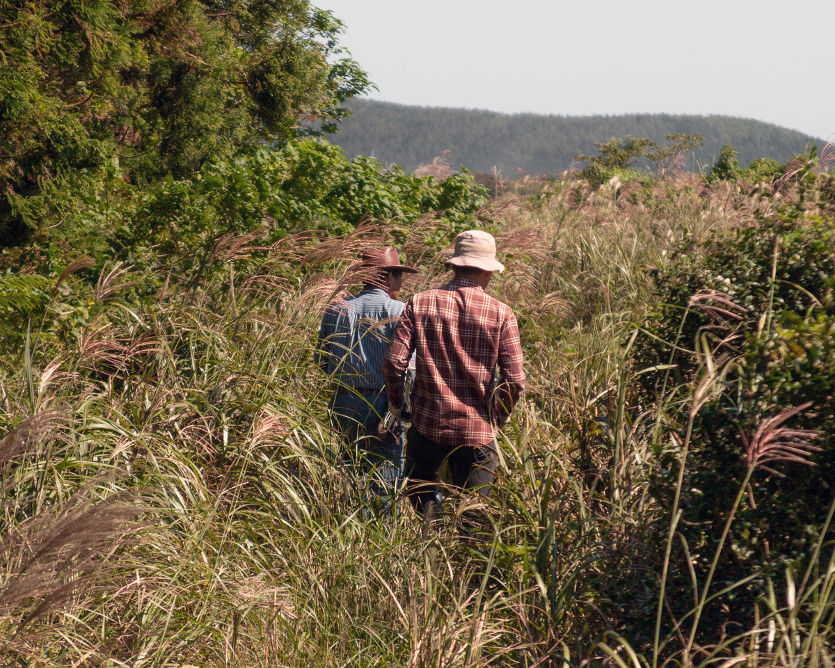 Wild Orchard’s regenerative farm. 