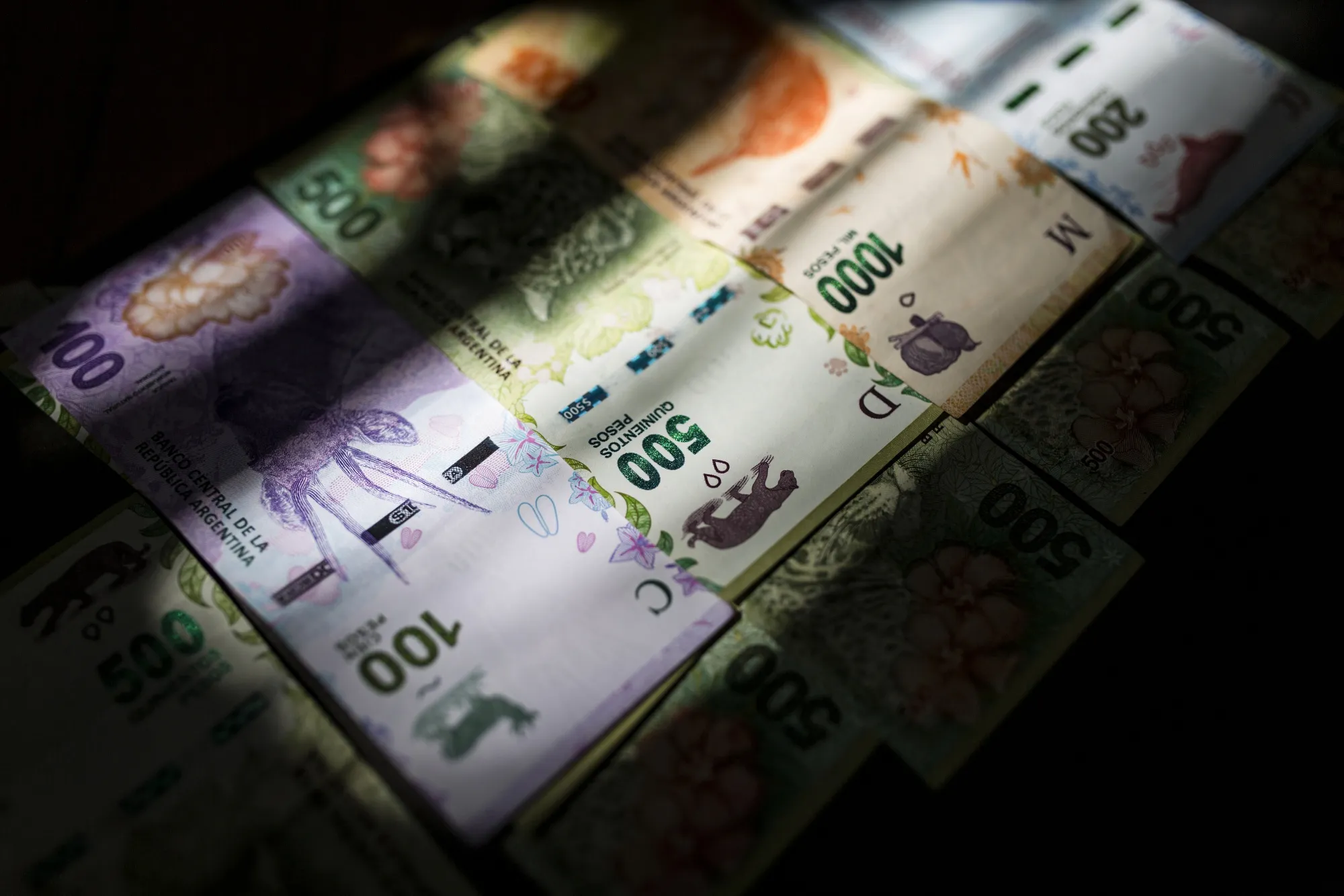After years of trying to avoid a currency devaluation that would add to soaring inflation and reduce its popularity with voters, Argentina’s government conceded defeat on Monday and moved ahead with devaluation.