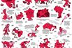 Fads from Around the World