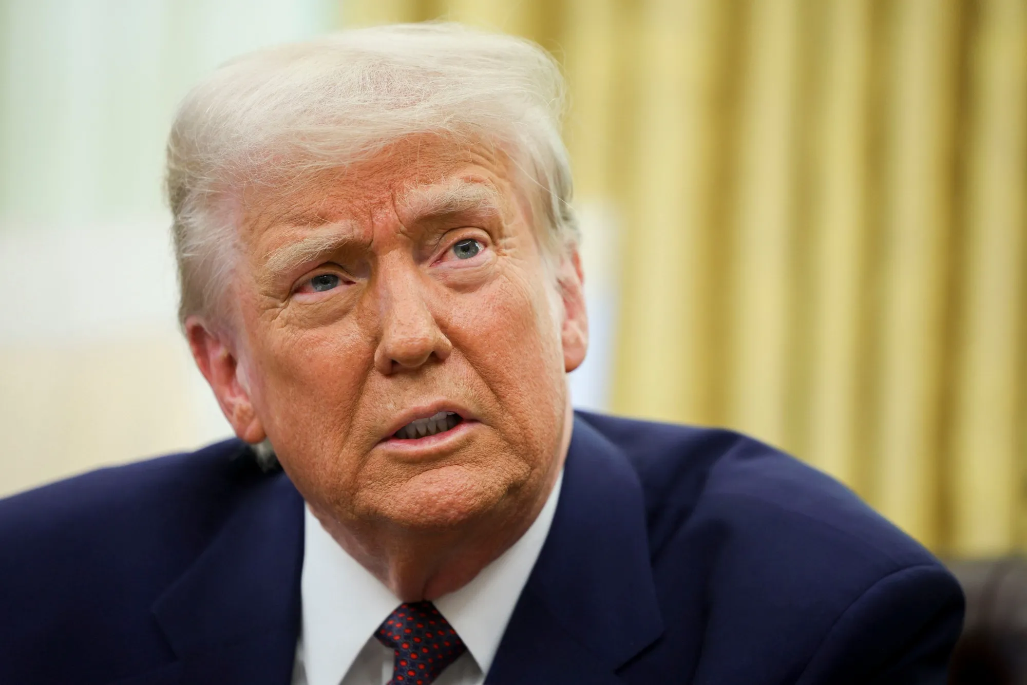 Donald Trump&nbsp;