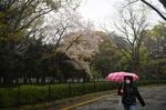 A pedestrian wearing a protective mask walks past Yoyogi Park in Tokyo, Japan.