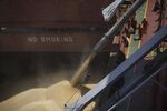Soybeans are loaded into&nbsp;a dry bulk vessel.