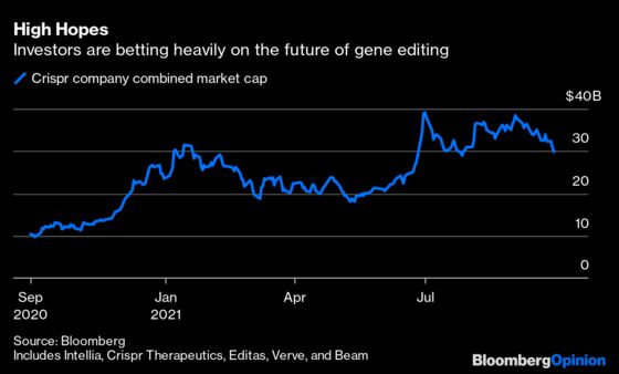 Crispr Is Still Promising, Even If Editas’s Experiment Falls Short