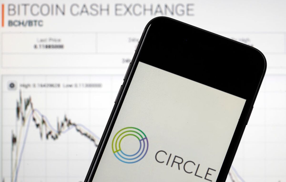 $658 Million?! Circle'S Stablecoin Secret Revealed (Q2 Report) - qa1yg3g