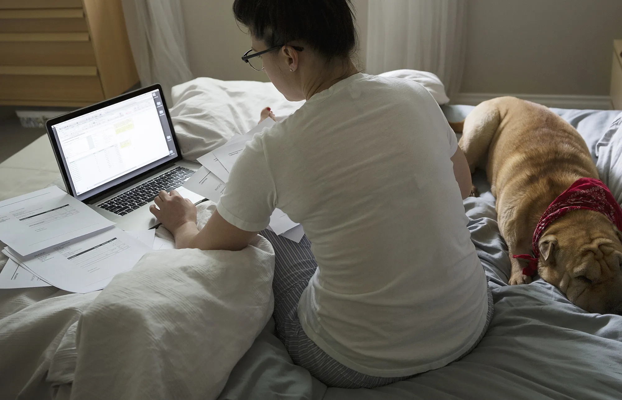Woman working bed at laptop by sleeping dog