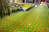 Sunflower Oil Manufacture at EFKO JSC ahead of Russia's Sunflower Tax