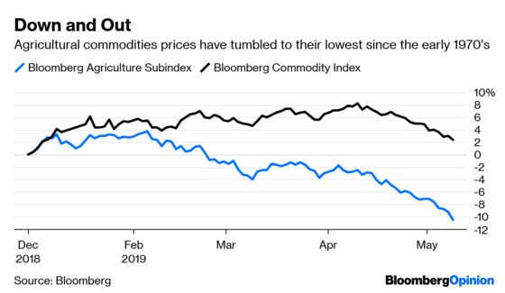 Stocks Show It Hasn't Paid to Be Long on Donald Trump