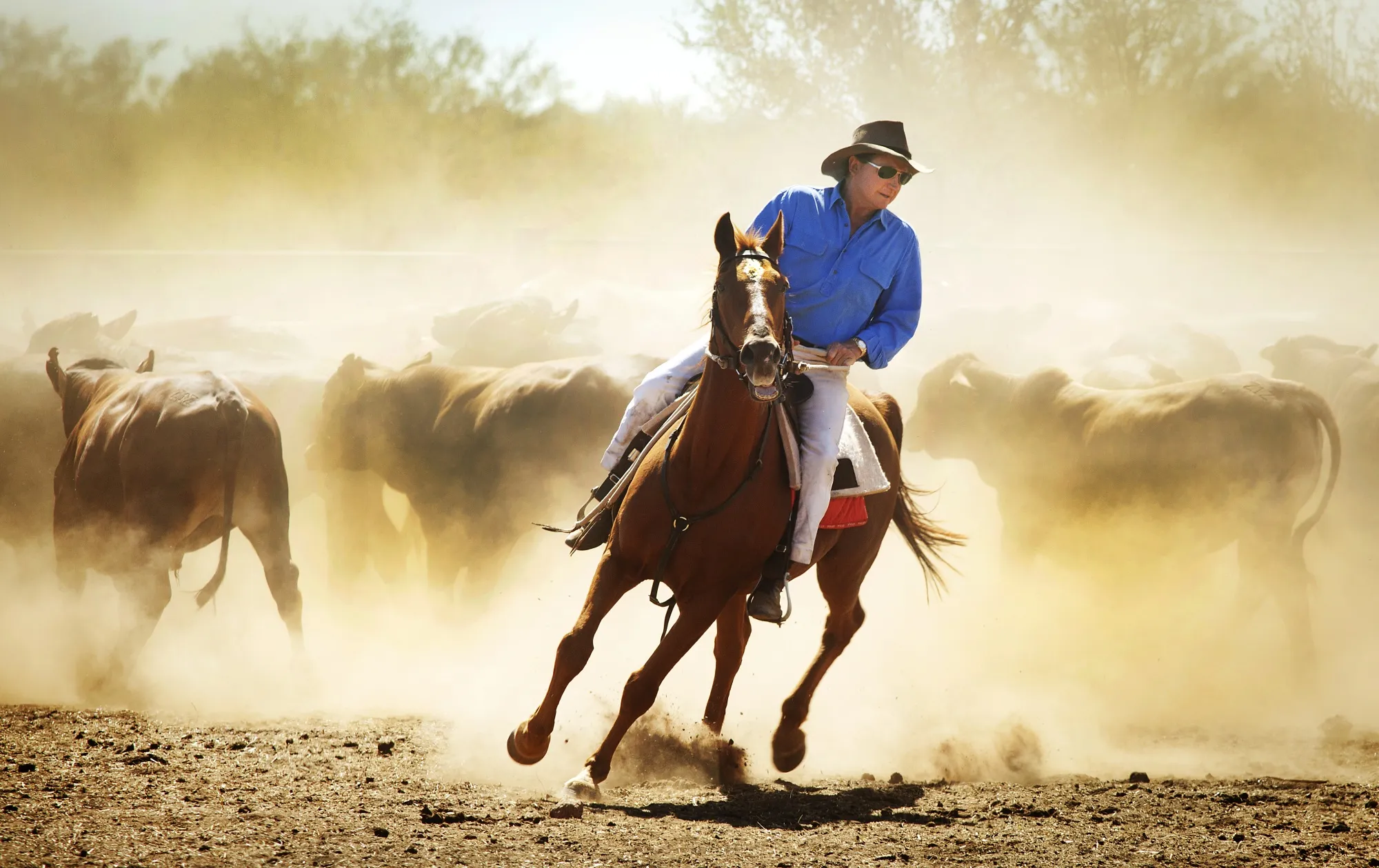 Andrew Forrest