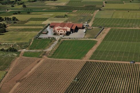 Alpha Estate vineyard in Amyndeon.