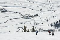 Skiers in Jackson Hole, Wyo.