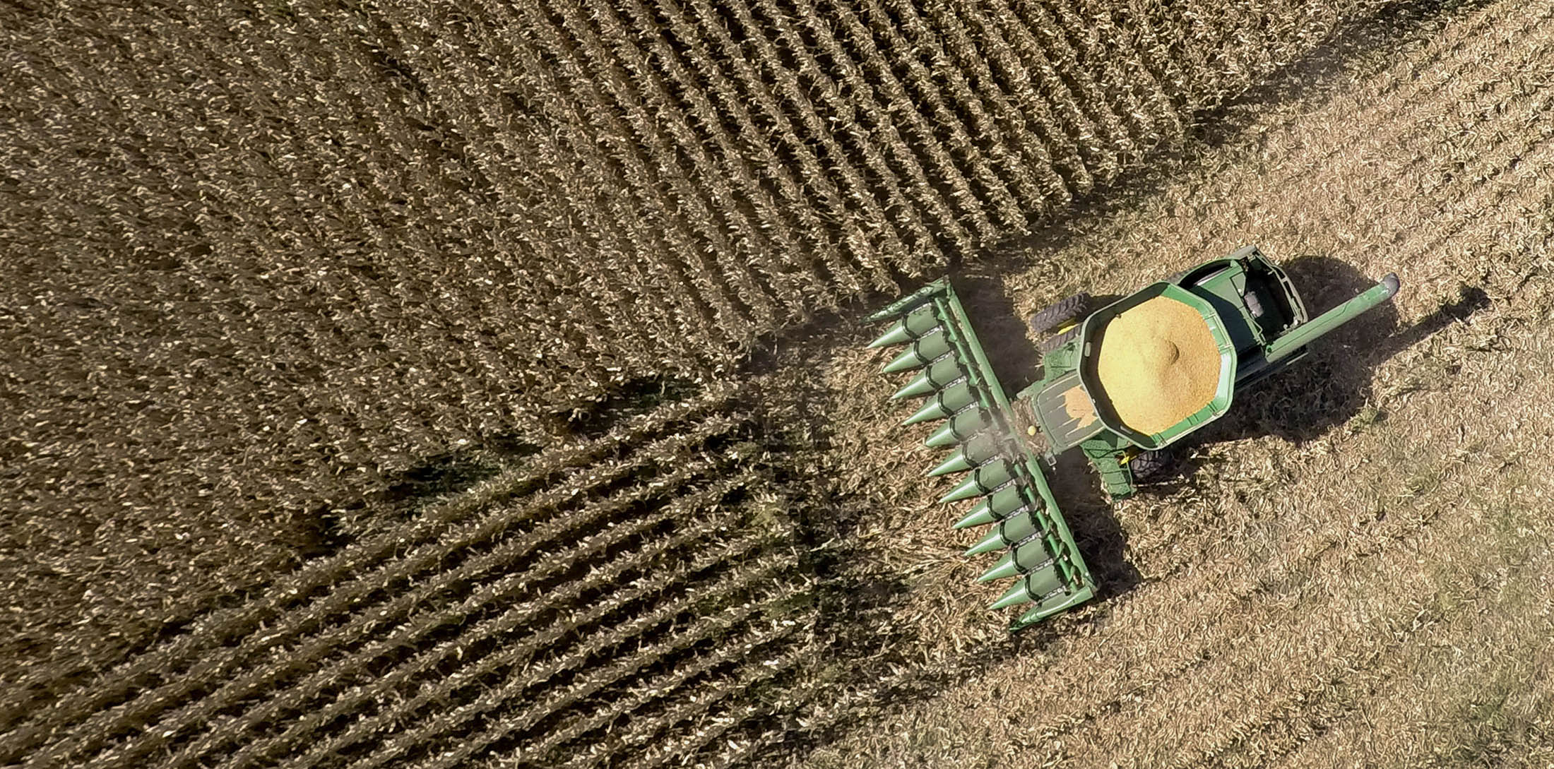 First U.s. Farm-income Gain In Four Years Signals Hope Of Bottom 