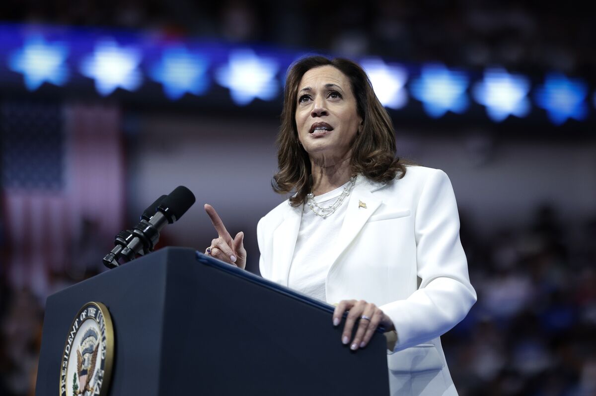Harris Says It Was Reckless for Democrats to Defer to Biden on Running Again