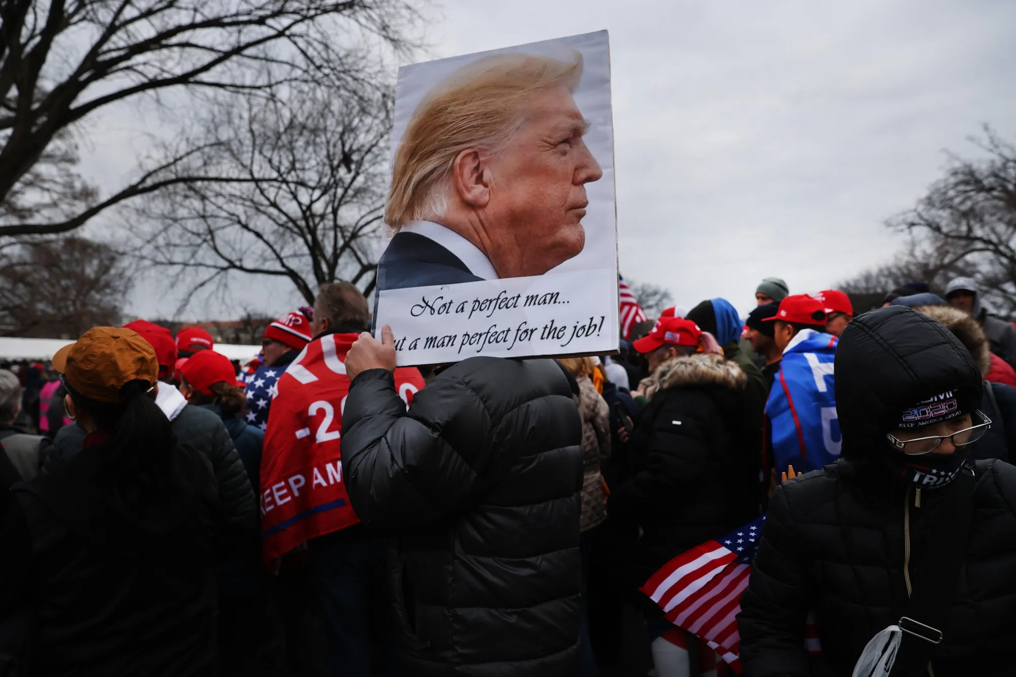 What did Trump know, and when did he know it?