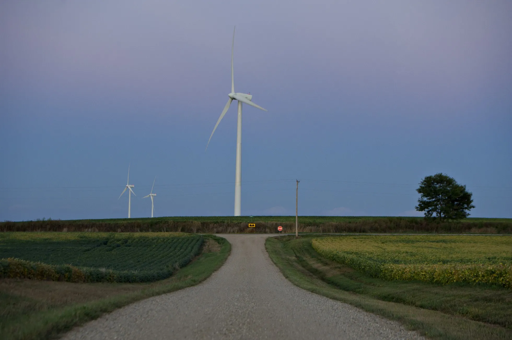 Turbines in the Cresent Ridge wind farm outside Tiskilwa, Illinois.&nbsp;