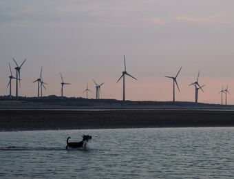 relates to Taiwan’s Wind Power Ambitions Are in Peril