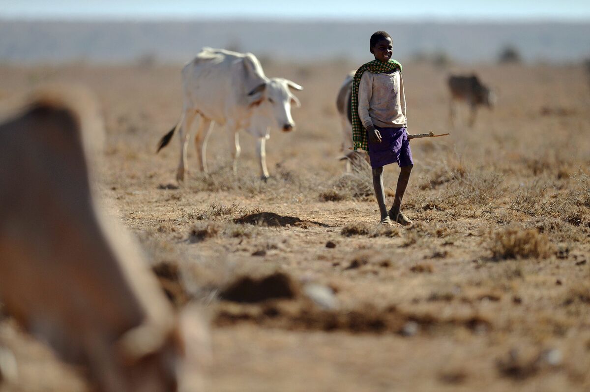 Drought Leaves 1 Million People in Kenya Needing Food Aid ...